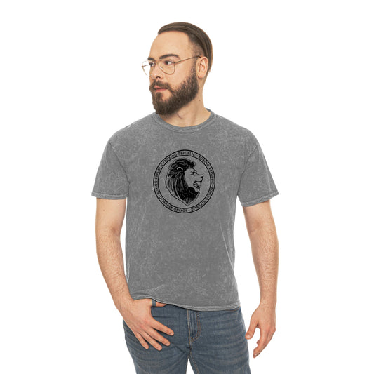 Boxing Republic Mineral Wash Tee