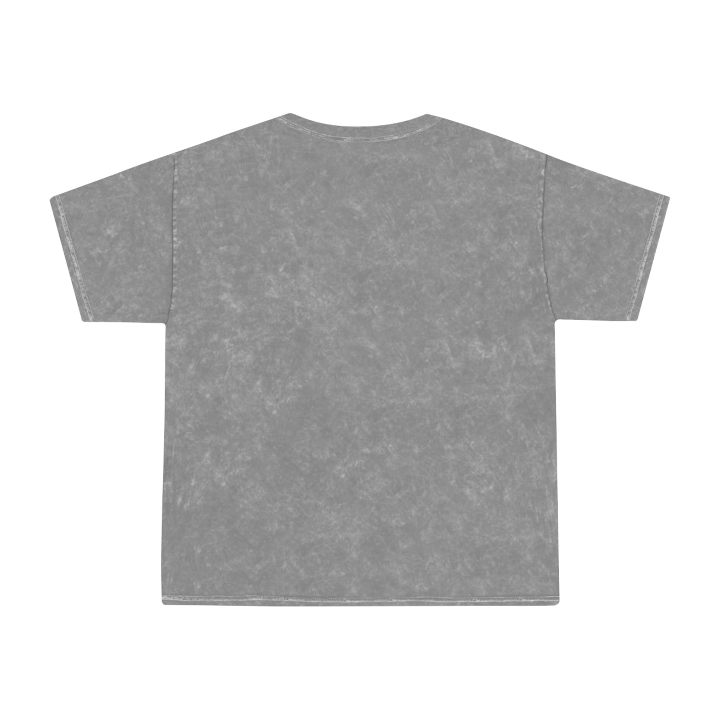 Boxing Republic Mineral Wash Tee